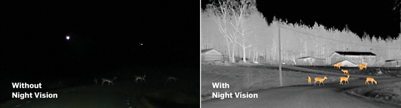 Illustration for article titled Why Nightvision In Cars Isn't Totally Useless